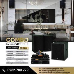 COMBO KARAOKE VIP AGS.VIP-02
