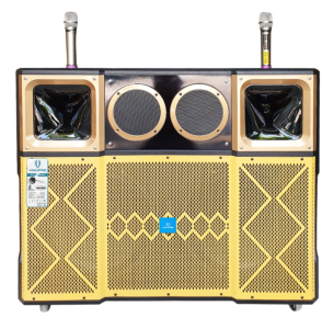 Top 5 Mẫu Loa Kéo Di Động Bán Chạy Nhất 2025 Cho Các Dự Án Tại Trần Gia Nguyên vang e1756376122886